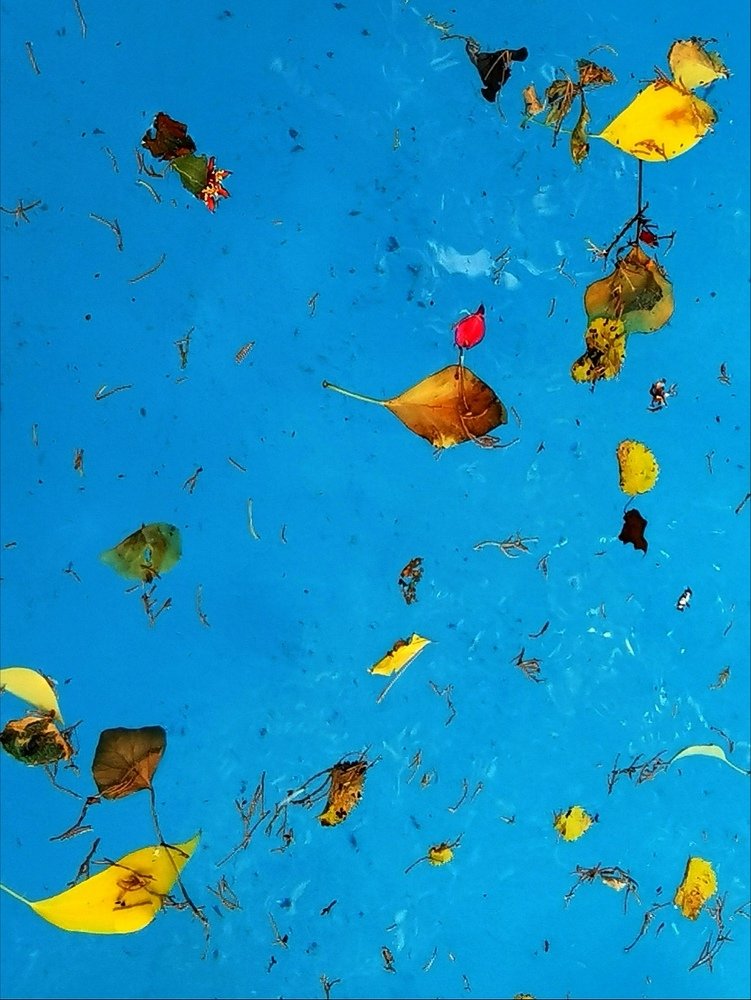 Photograph by Jorge Corrons Crespi