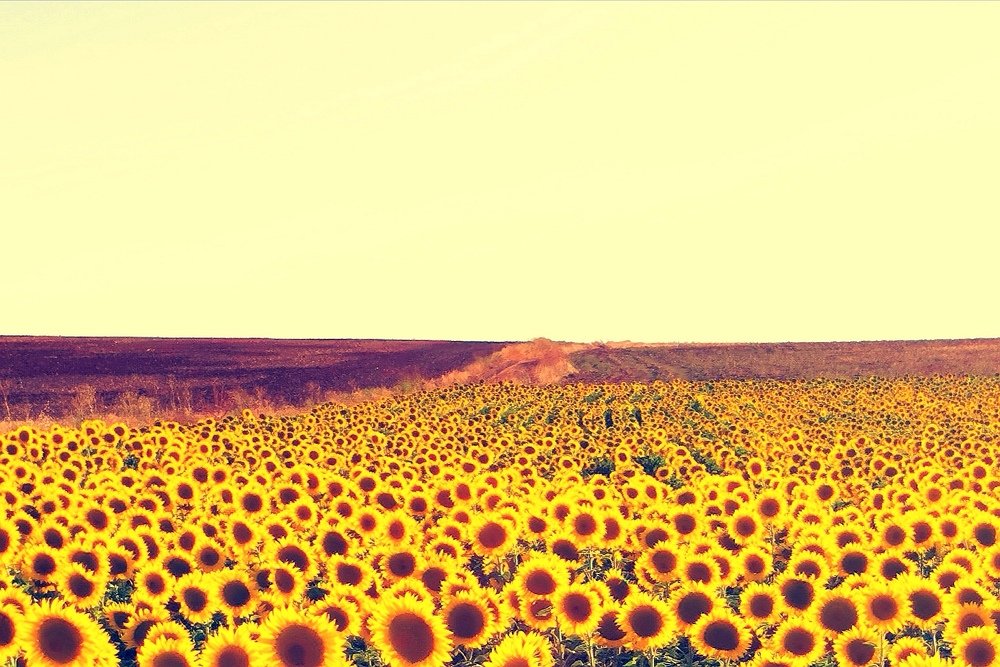 Photograph by Jorge Corrons Crespi