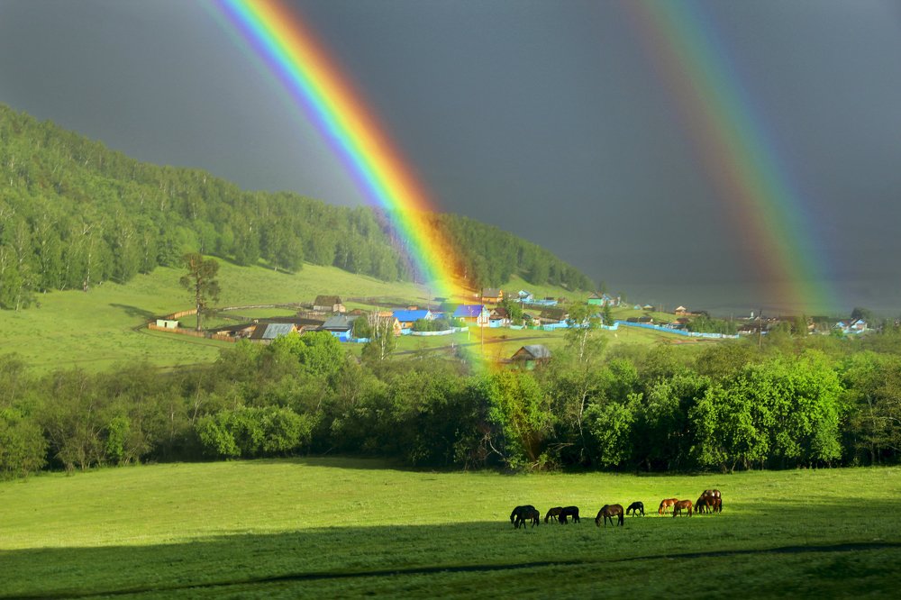 Солнечный ливень