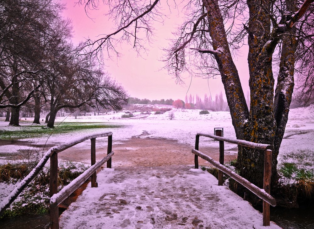 Photograph by moussa idrissi