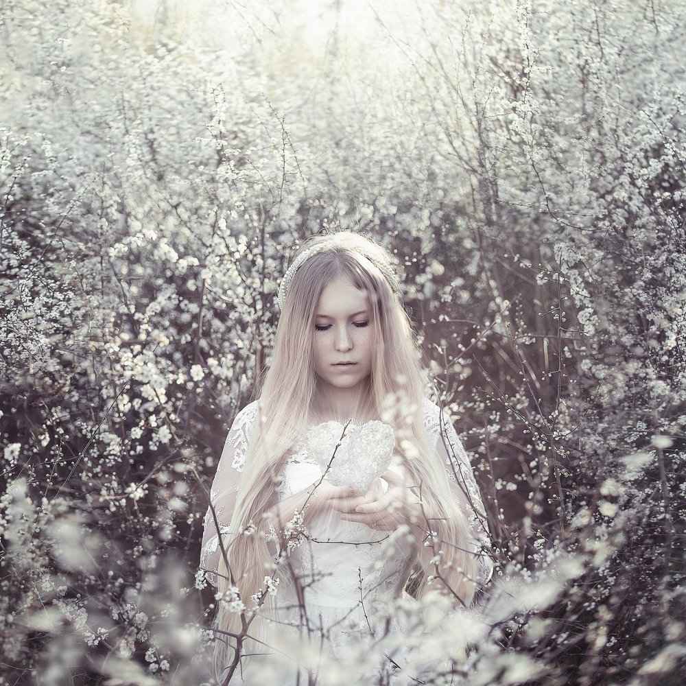 Photograph by Tetyana Vysochanska