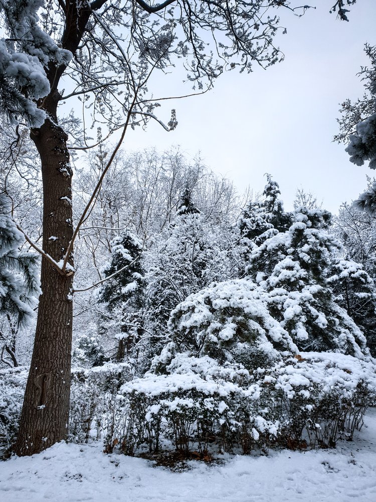 Photo #5480094