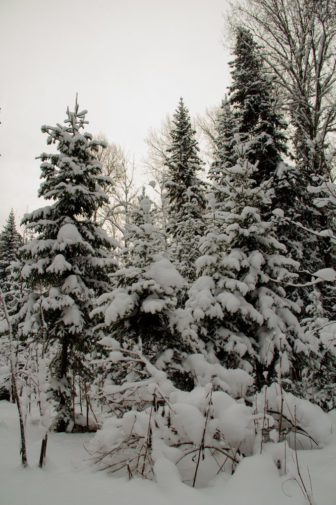 Photograph by Людмила Сливкина