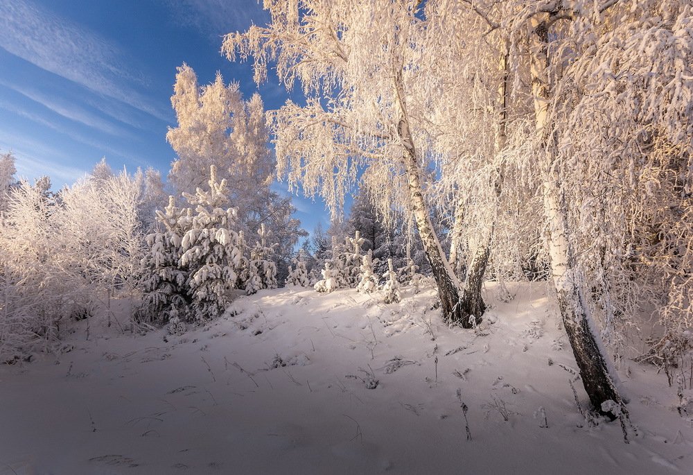 Photograph by Алексей Трофимов