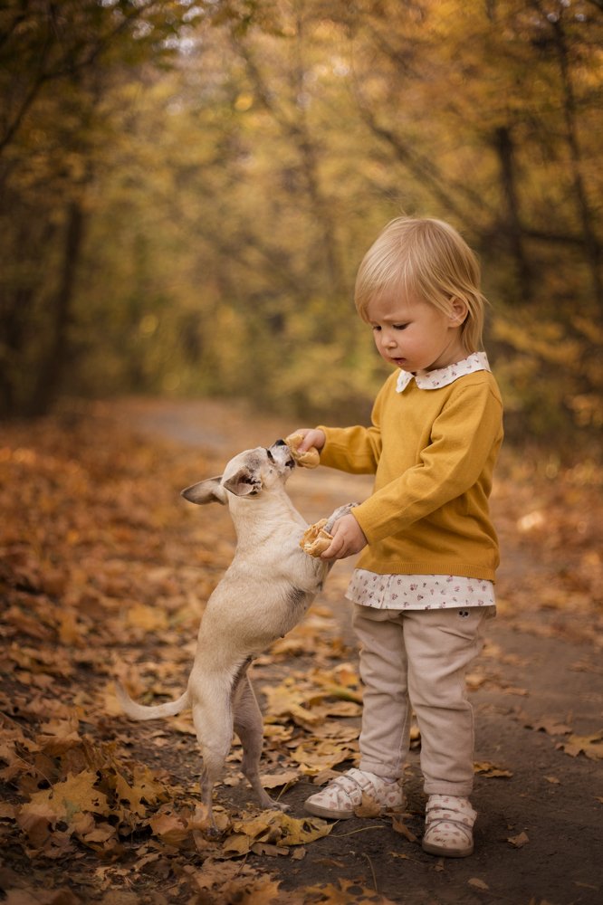 Девочка с собачкой