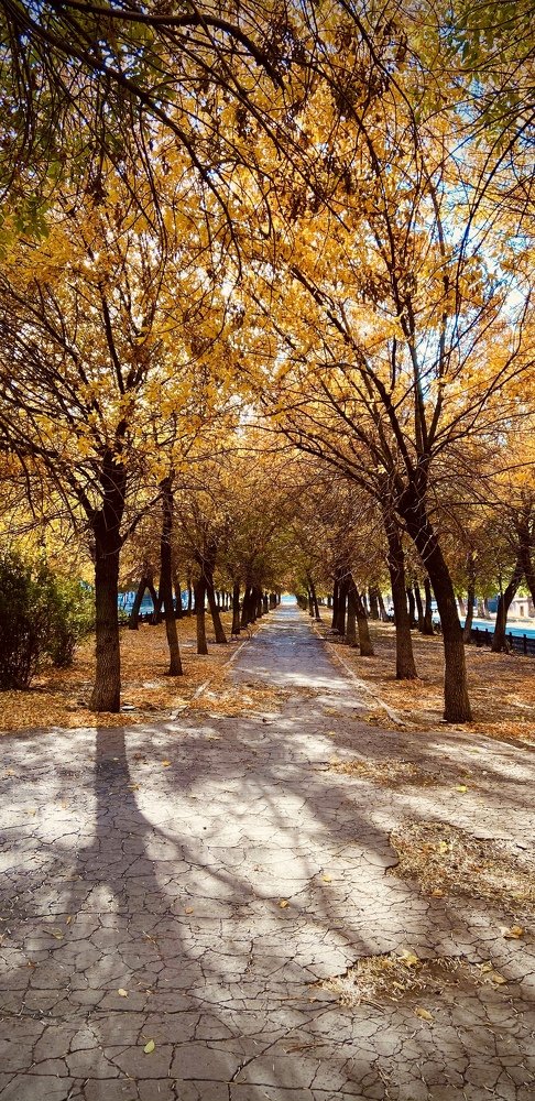 Photograph by Александр Истраткин