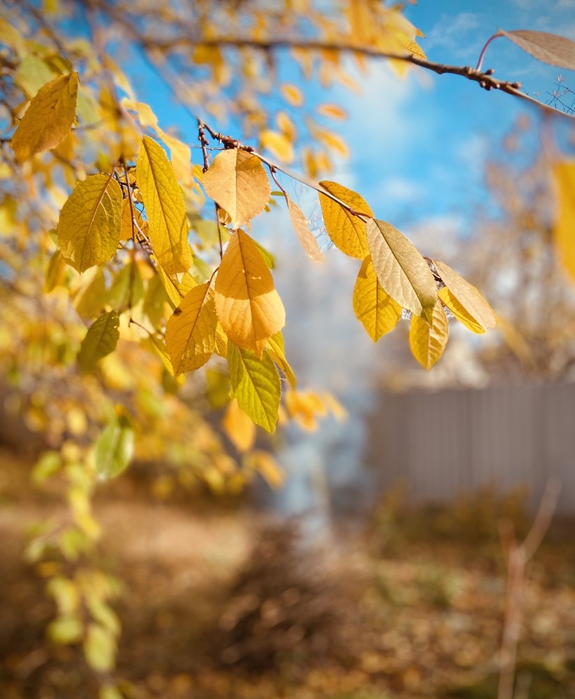 Photograph by Александр Истраткин
