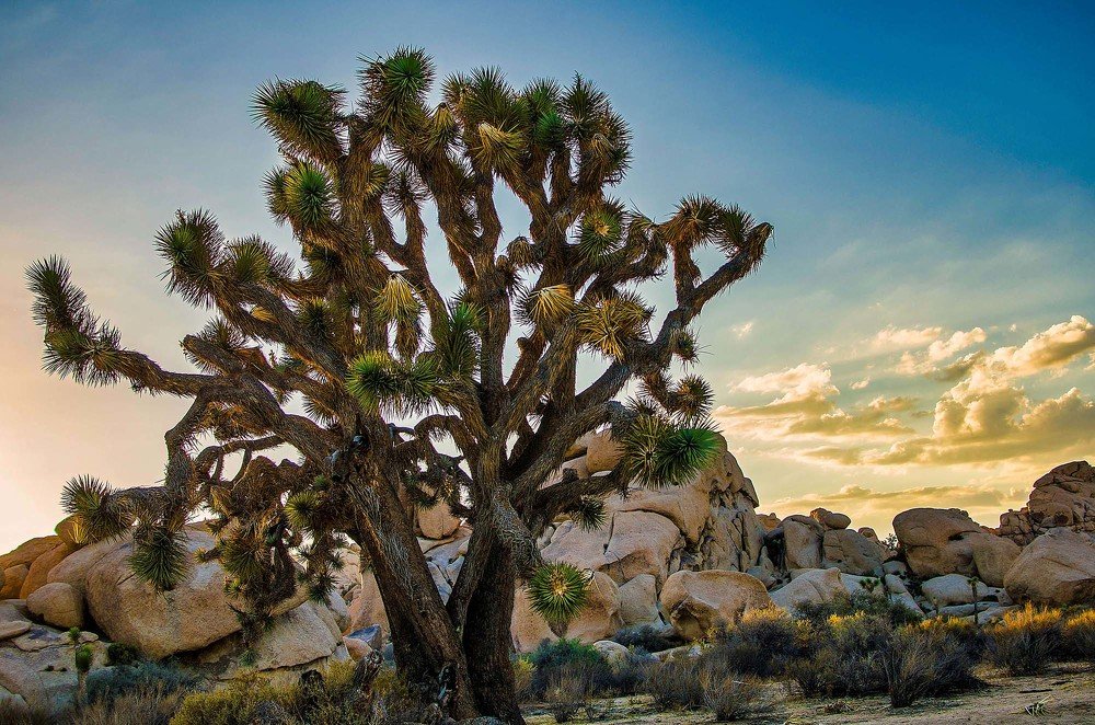 Photograph by Victoria Krasyuk