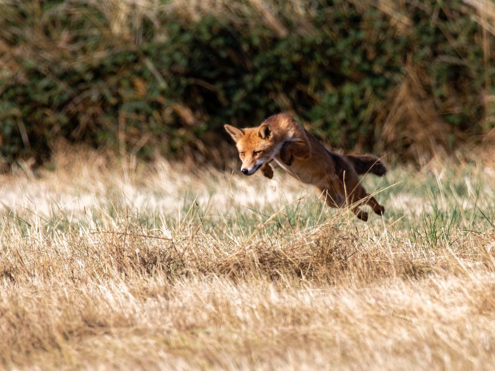 Photograph by Marie-george Lavaurs