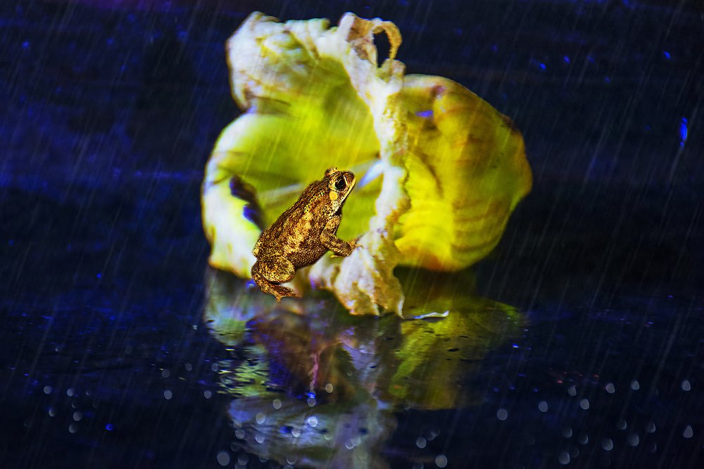 Photograph by Vy Van Bui