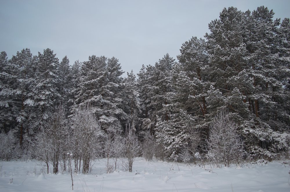 Photograph by Олег Байгозин