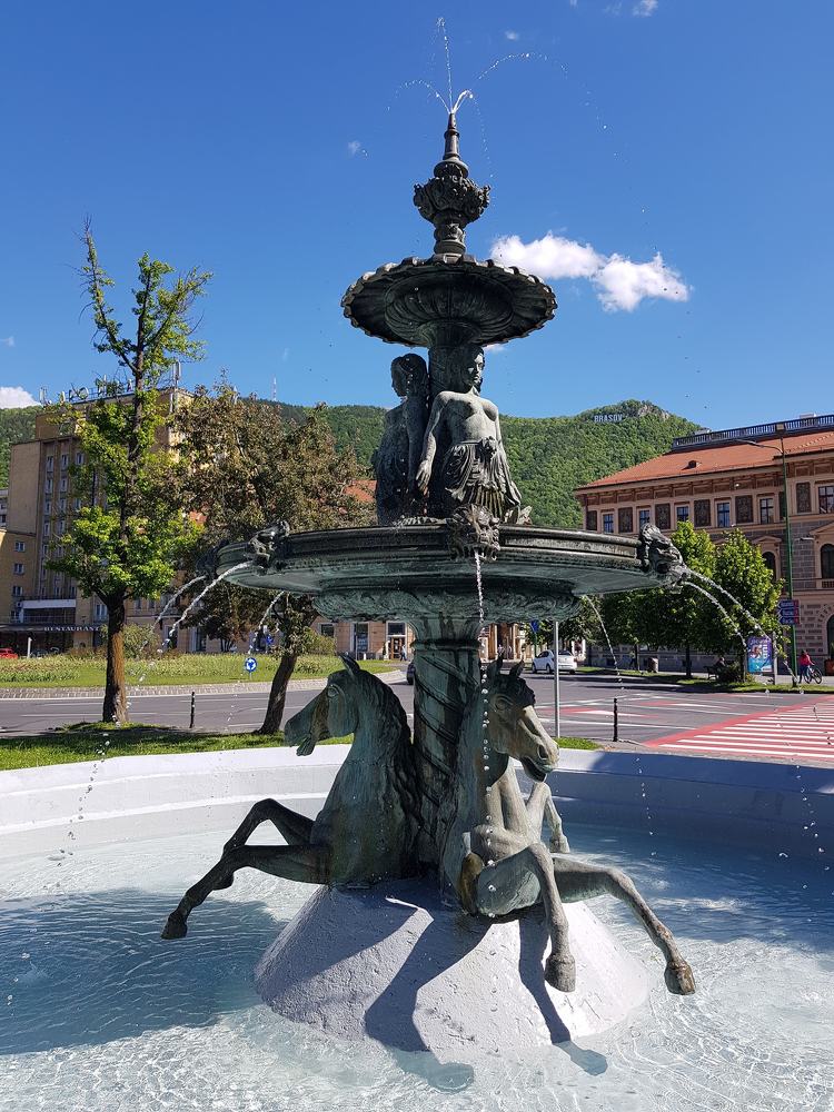 Photograph by rusenescu ramona