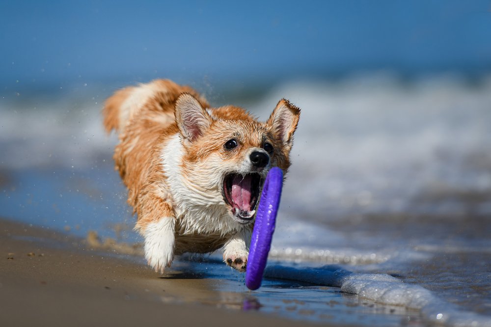 Photograph by Мария Давыдова