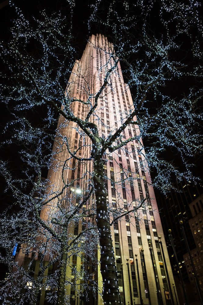 Photograph by Марина Маликова