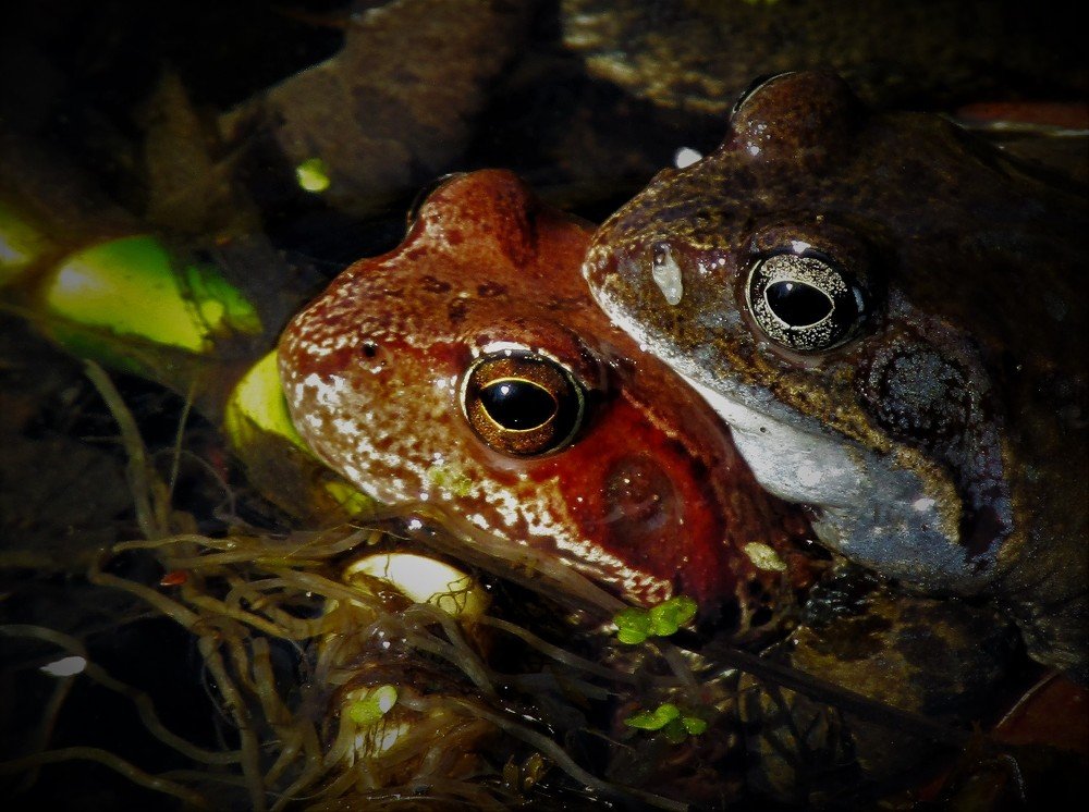 Photograph by Екатерина Салий