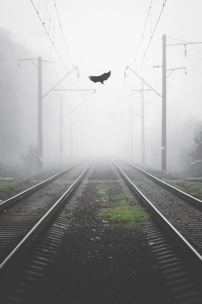 Photograph by Дарья Прусс