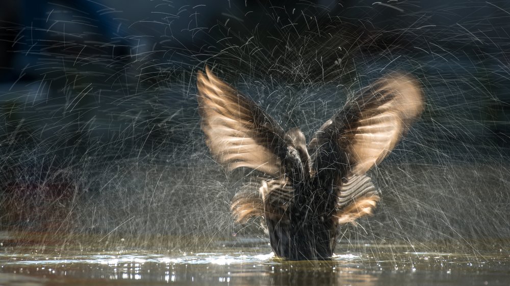 Photograph by Urszula Frydrych