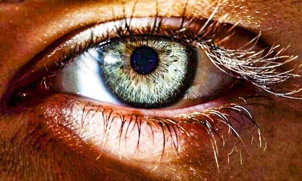 Фотография автора Андрей Филипович