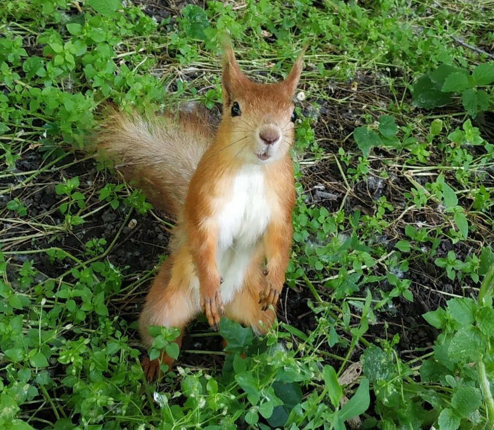 Photograph by Павел Михно