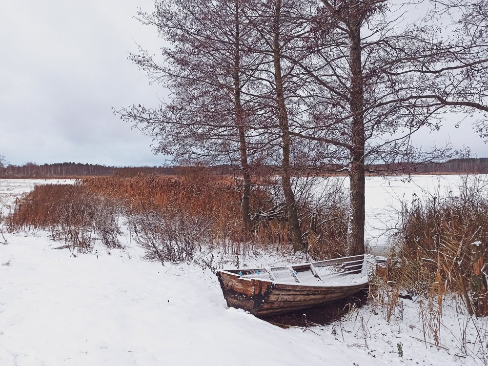 Photograph by Светлана Беспалко