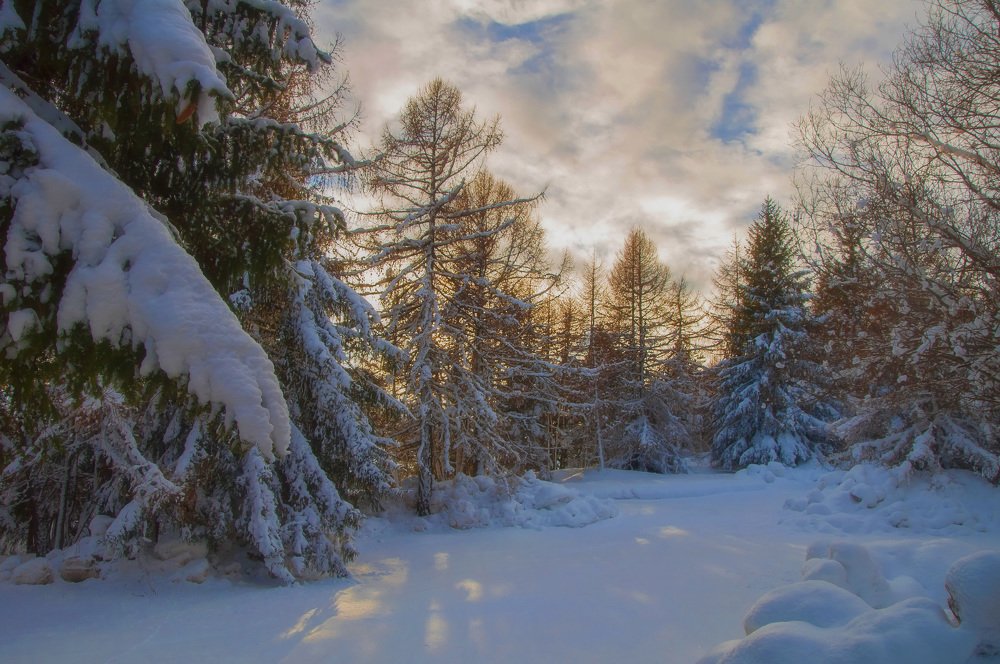 Photograph by Svetlana Rizzo