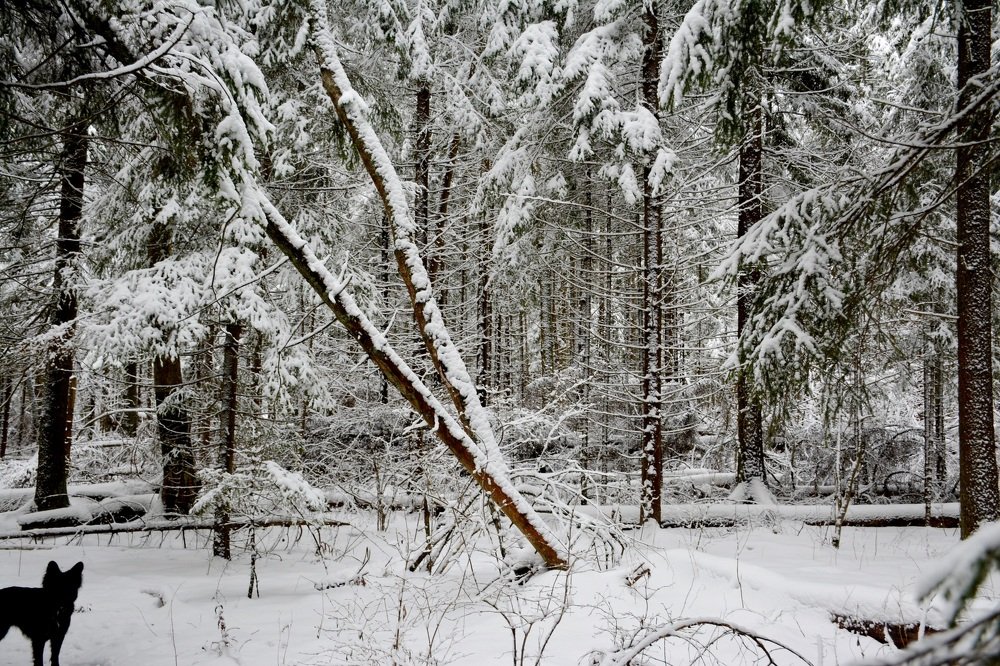 Photograph by Anna Prohorova