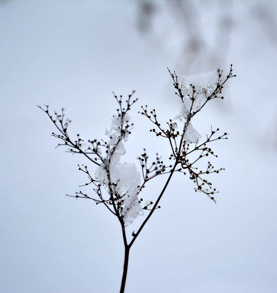 Photograph by Anna Prohorova