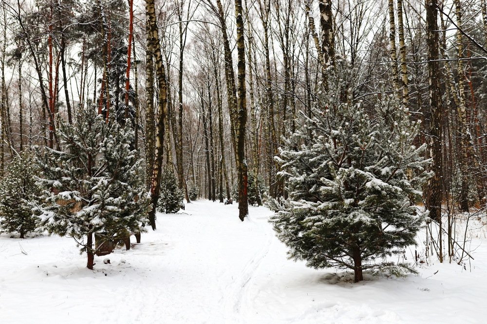 Photograph by Константин Лагоденко