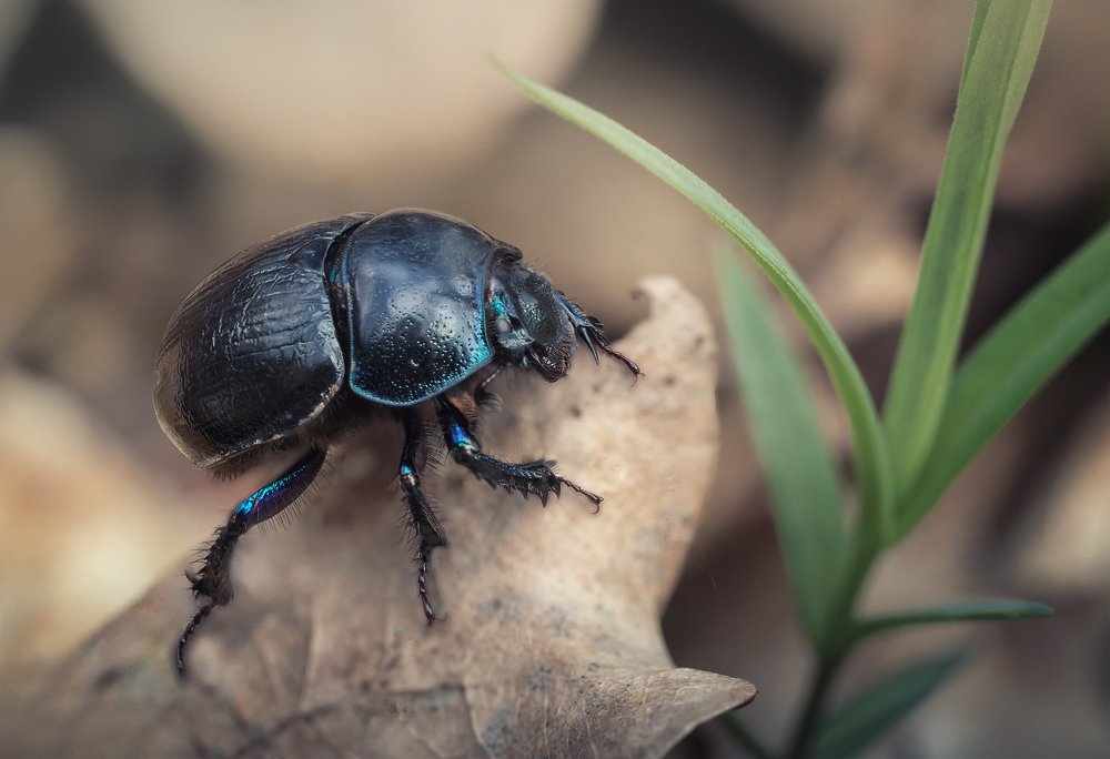 Photograph by Марина Хилько