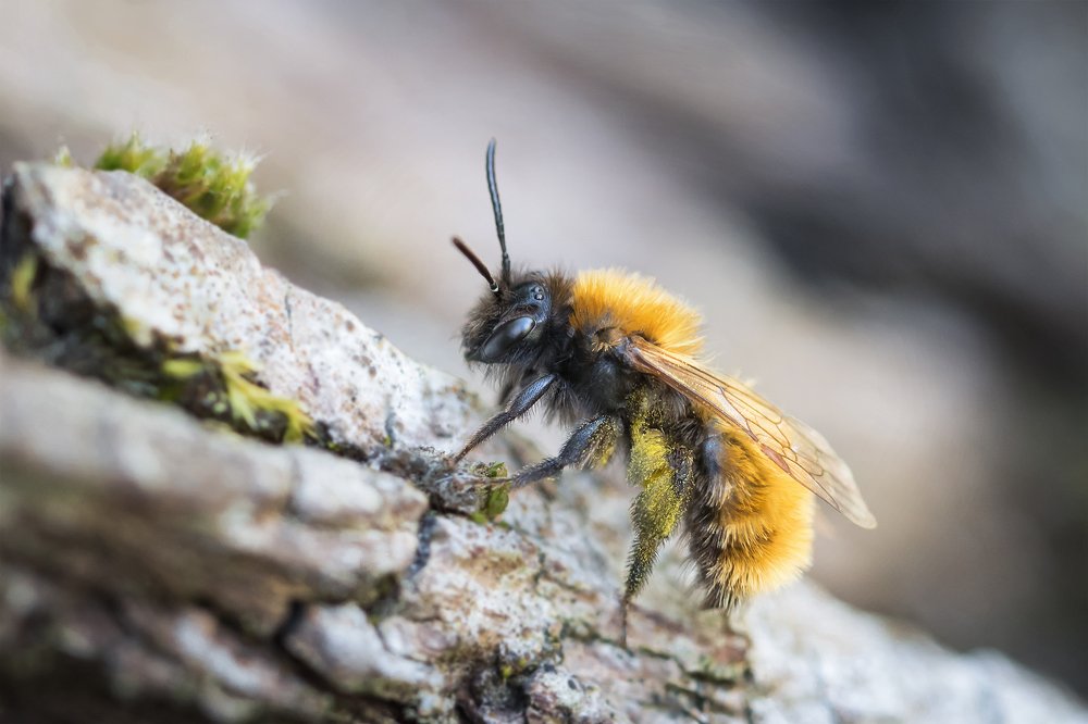 Photograph by Марина Хилько