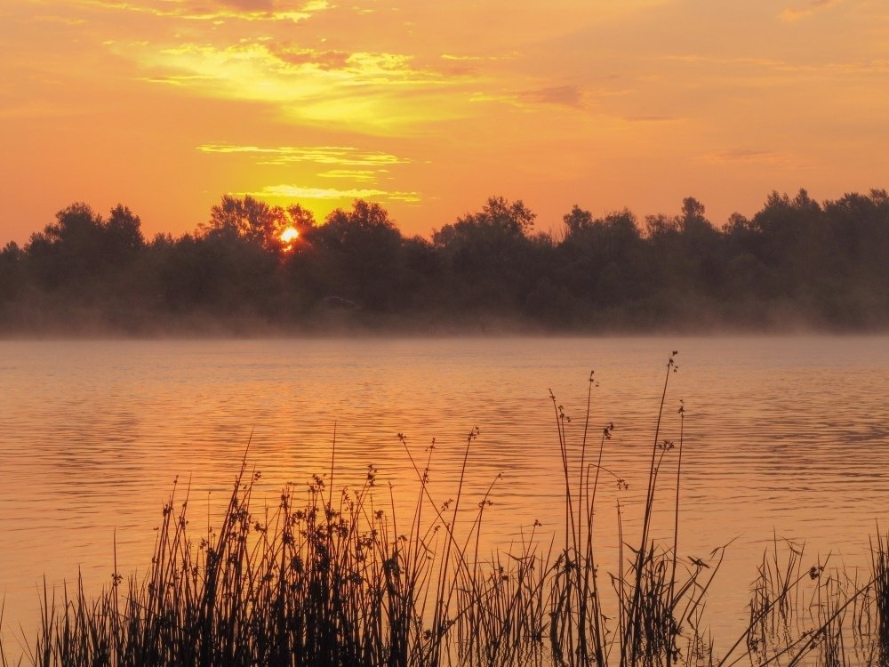 Photograph by Андрей