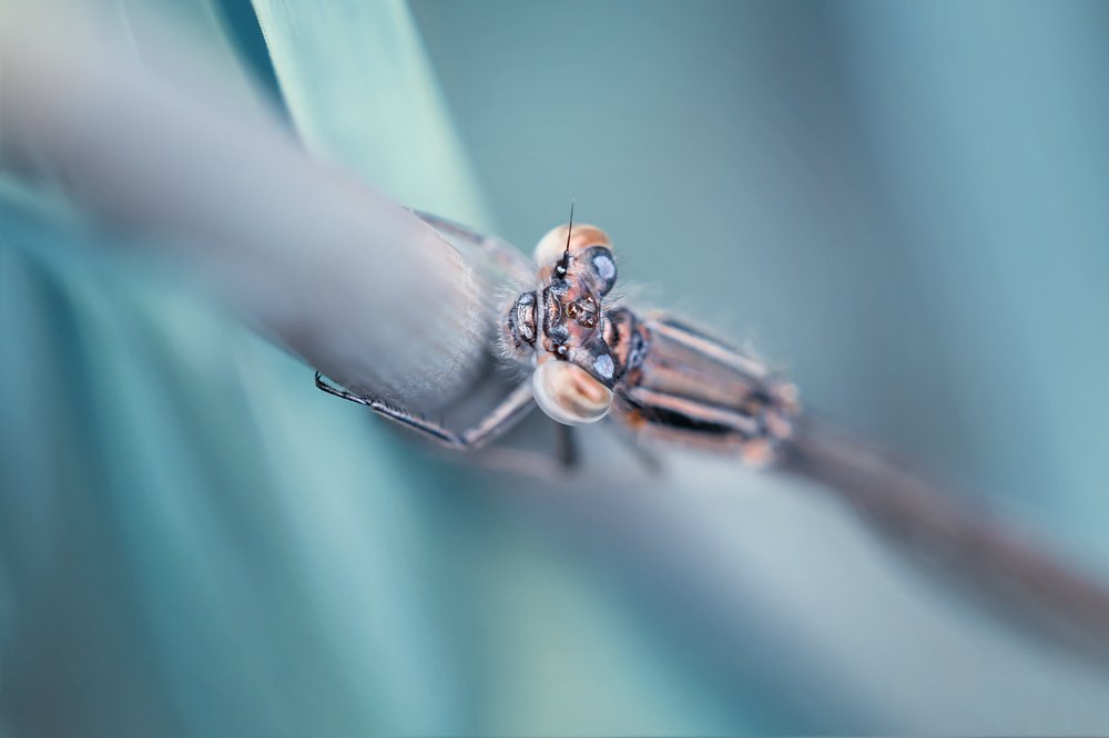 Photograph by Марина Хилько