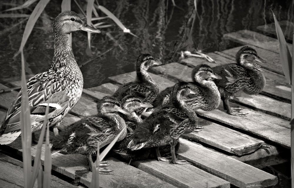 Фотография автора Валентина Гундарева