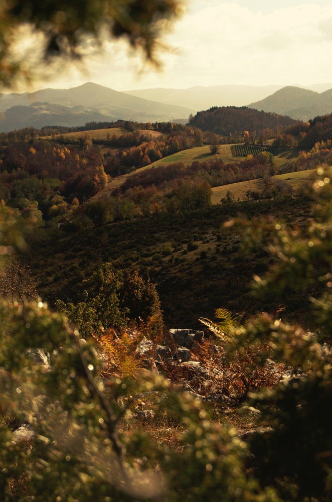 Photograph by Dimitrije Todorovic