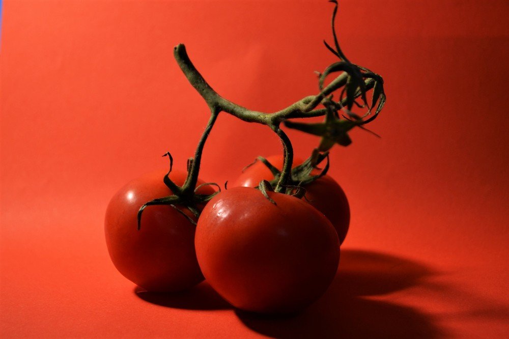 Photograph by Patrycja