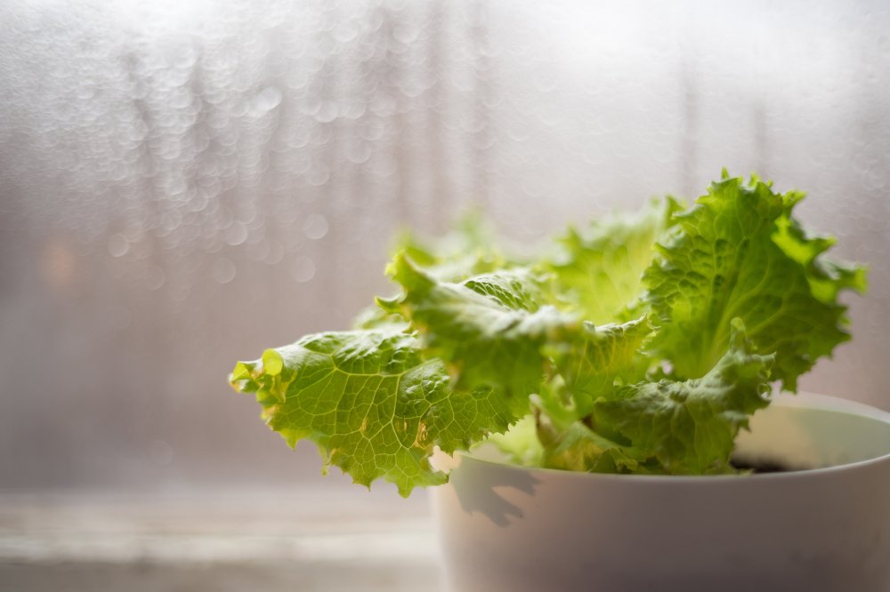 Photograph by Анна Еремина