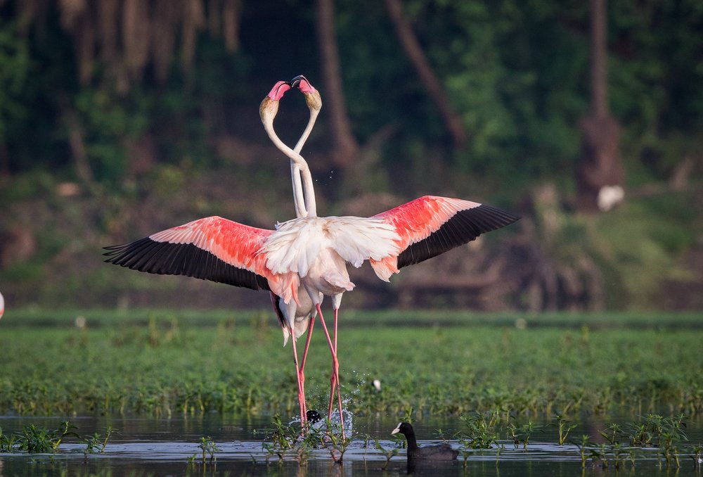 Photograph by Sharad Bhatia