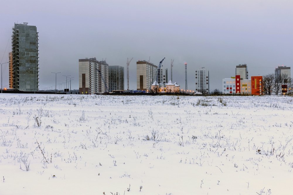 Городской массив за полем..