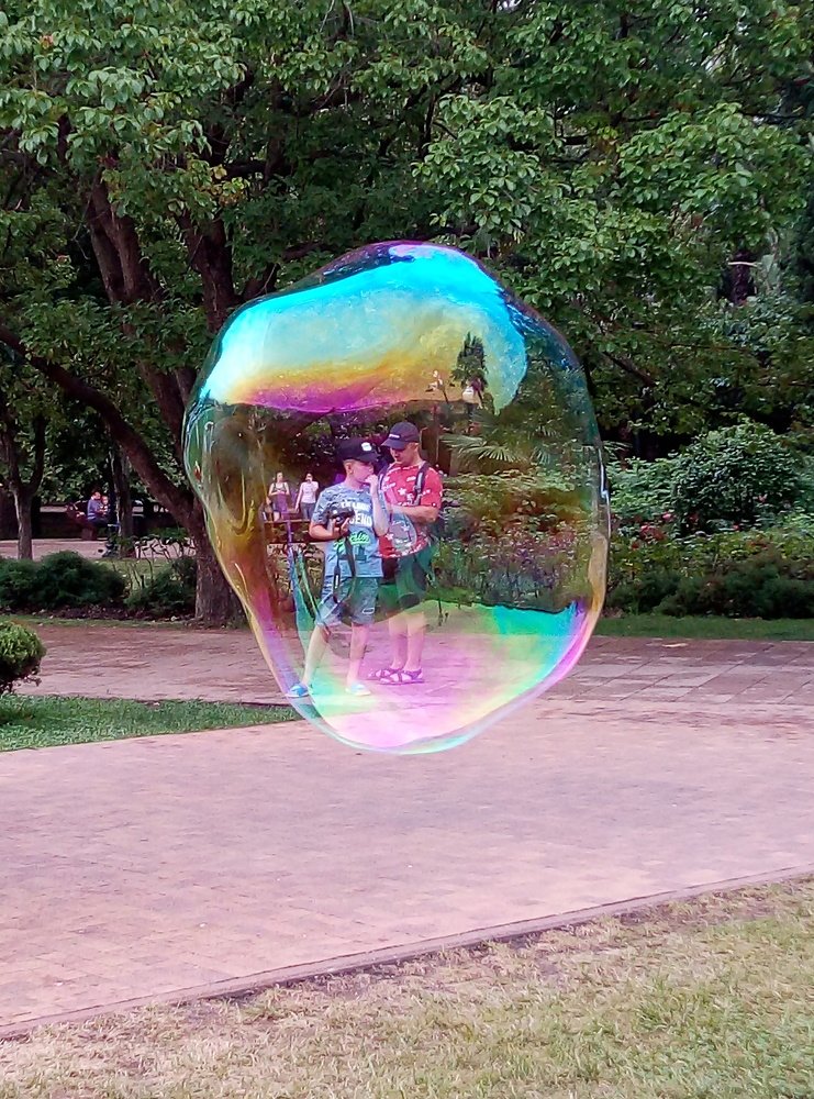 Photograph by Алла Сырчикова