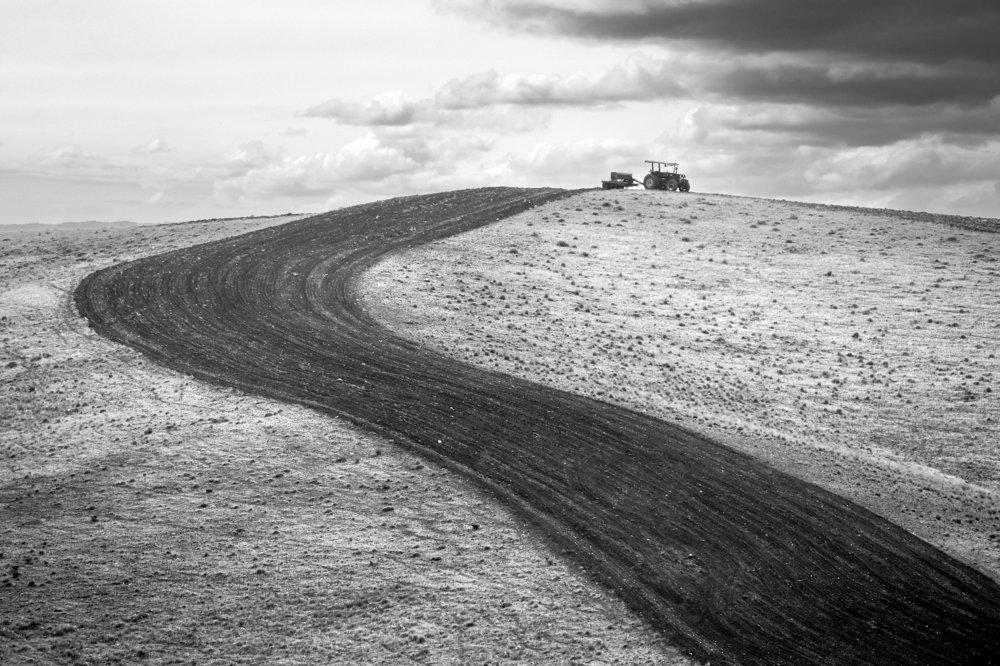 Фотография автора payman Mollaie