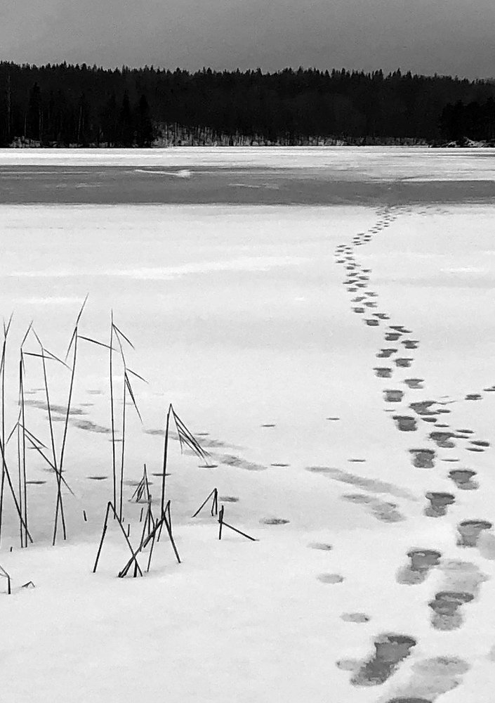 Первая зимняя рыбалка...