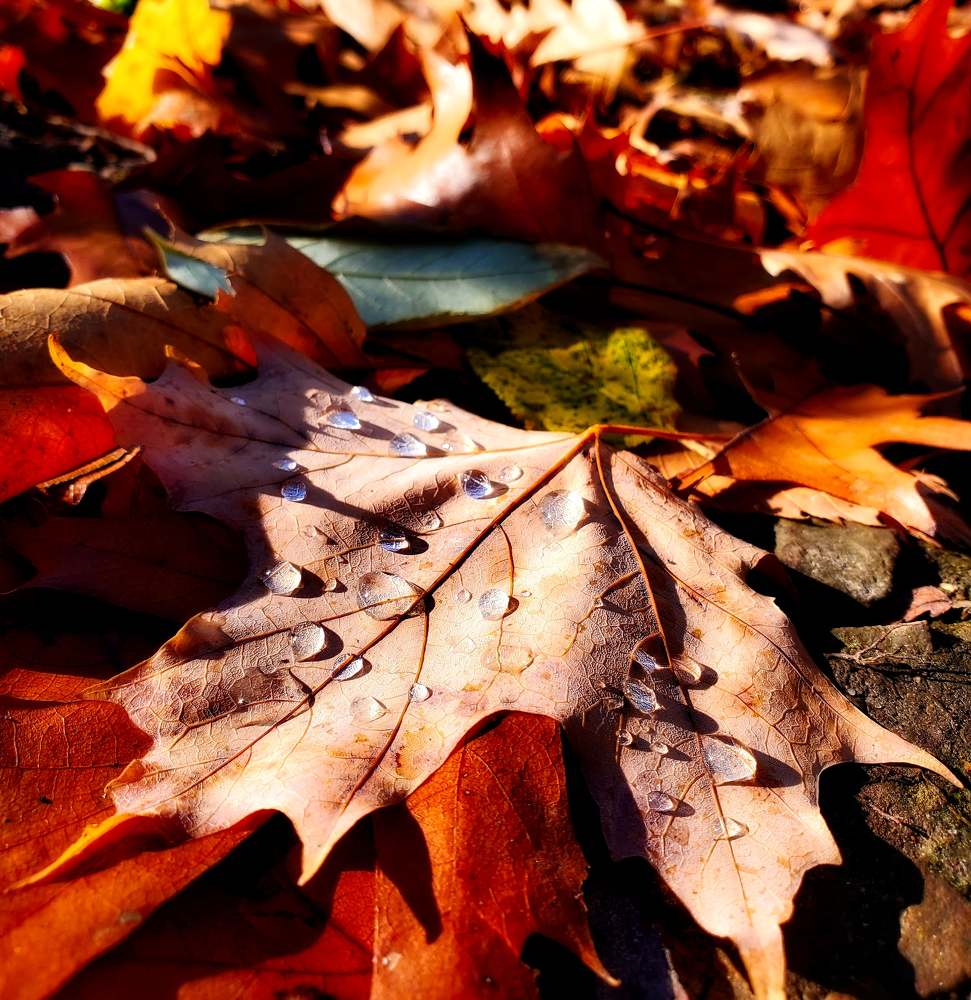 Photograph by Sharon Sabharwal