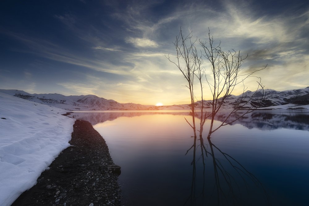 Photograph by Mahdi Sedaghi