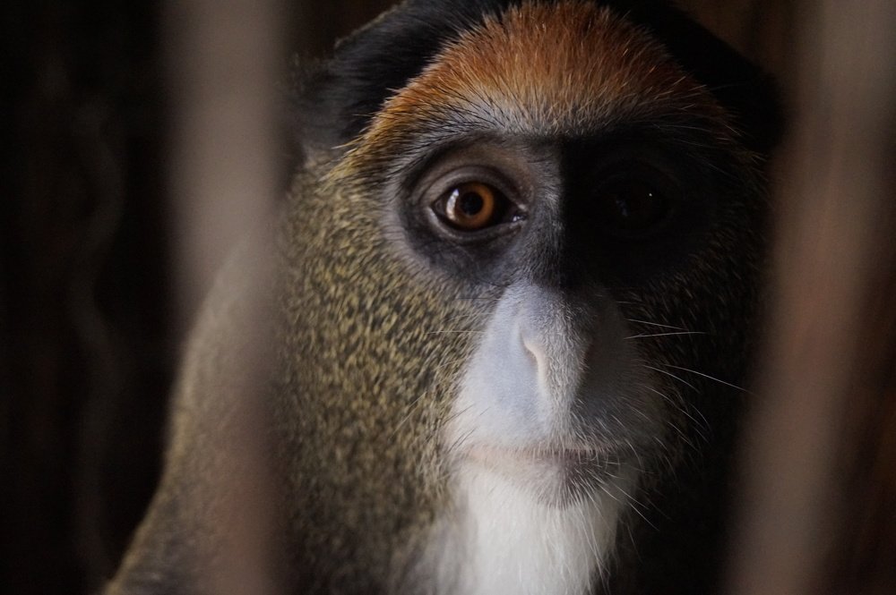 Photograph by Нияз Мирхайдаров