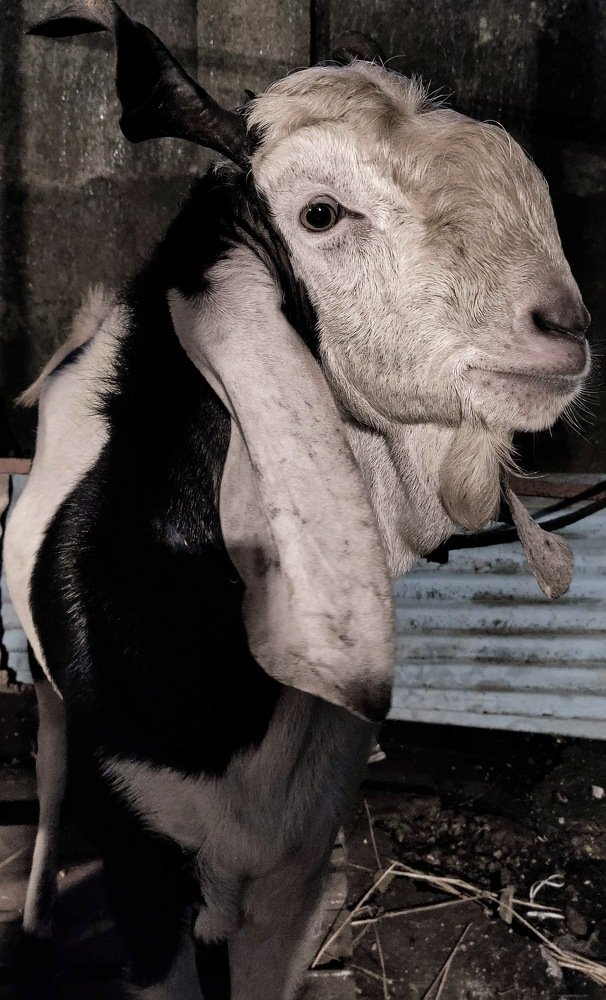 Photograph by Zeeshan Shaikh