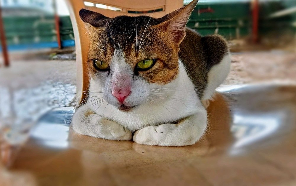 Photograph by Zeeshan Shaikh