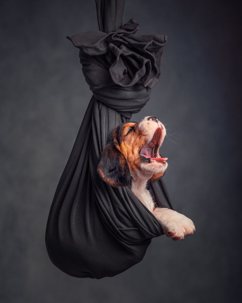 Photograph by Ольга Гамей