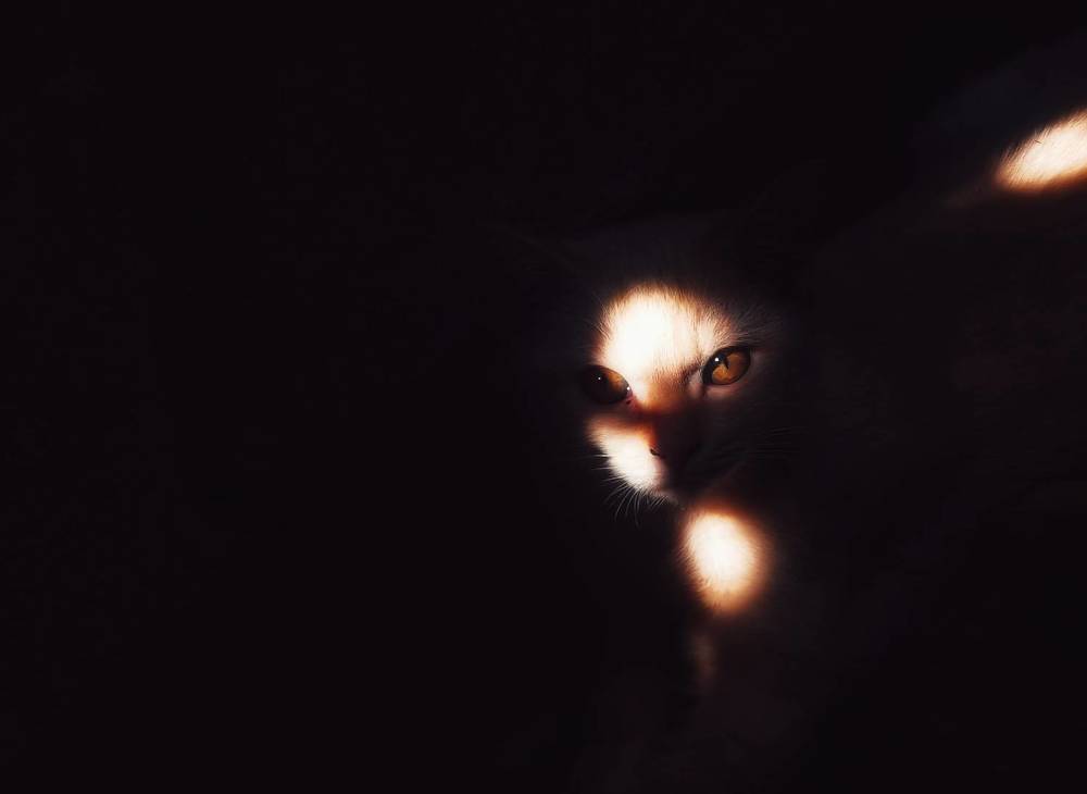 Photograph by Suksiri Natcha