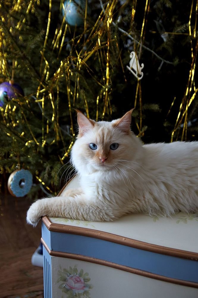 Photograph by Юрий Варюхин