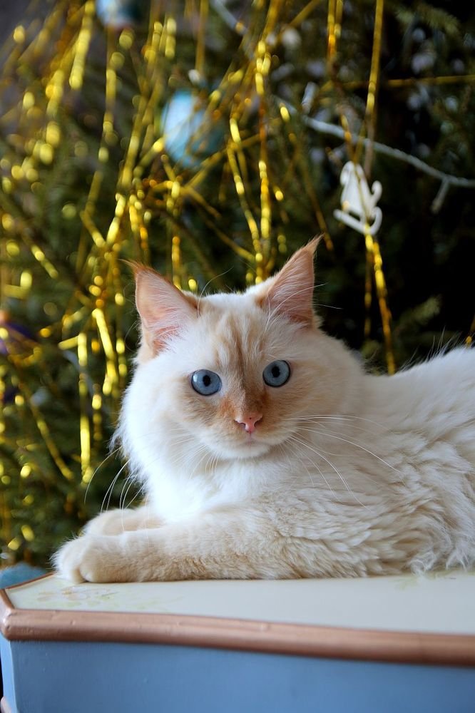 Photograph by Юрий Варюхин